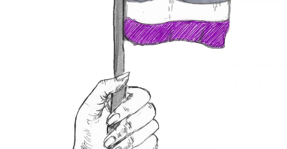 the invisible orientation an introduction to asexuality