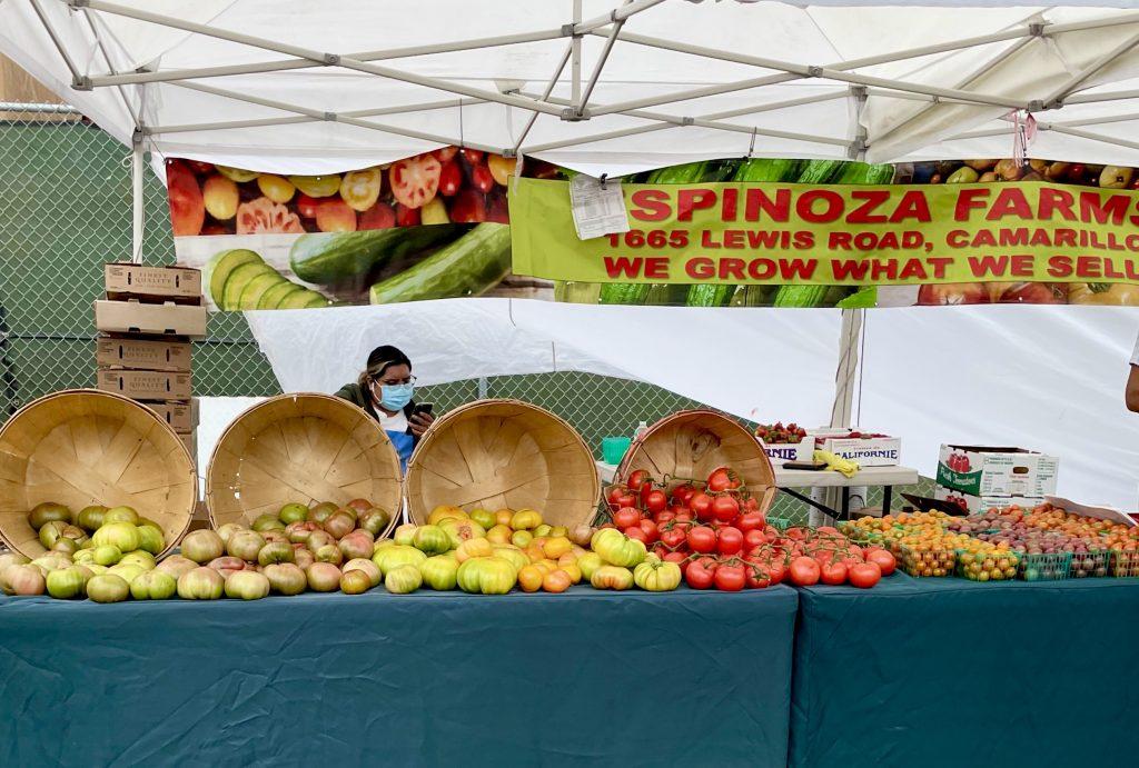 Spinoza Farms sets out bins of tomatoes for shoppers at the Farmer's Market. The market is perfect for people who like to buy fresh groceries for the week from local farms and businesses.