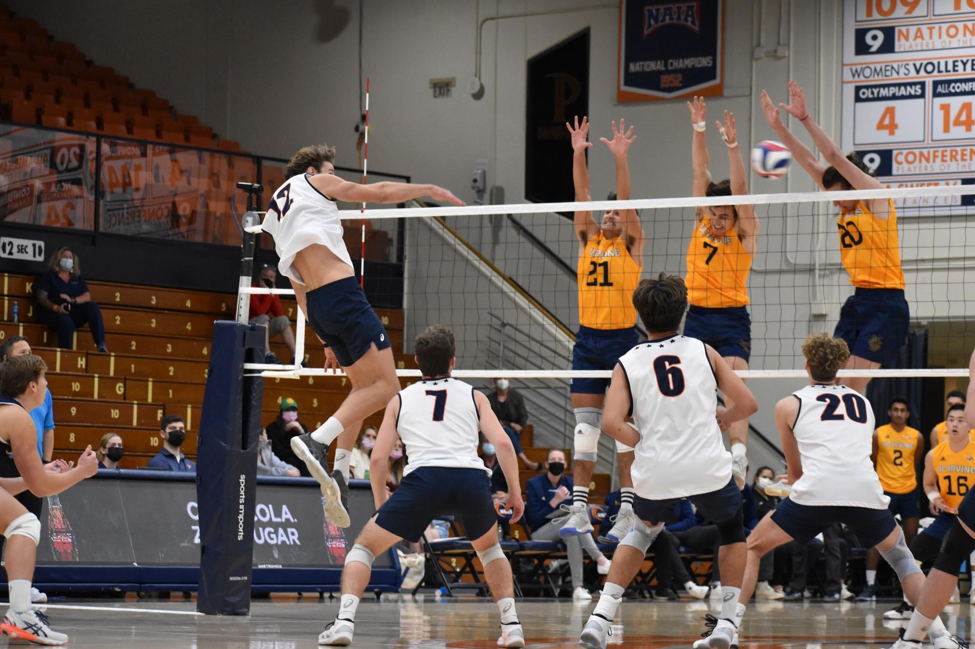 Men’s Volleyball Rolls Past UC Irvine Pepperdine Graphic