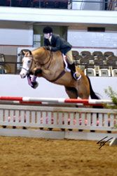 rew jumping with horse