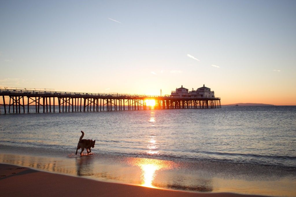 Check Out these Summer Jobs Pepperdine Graphic