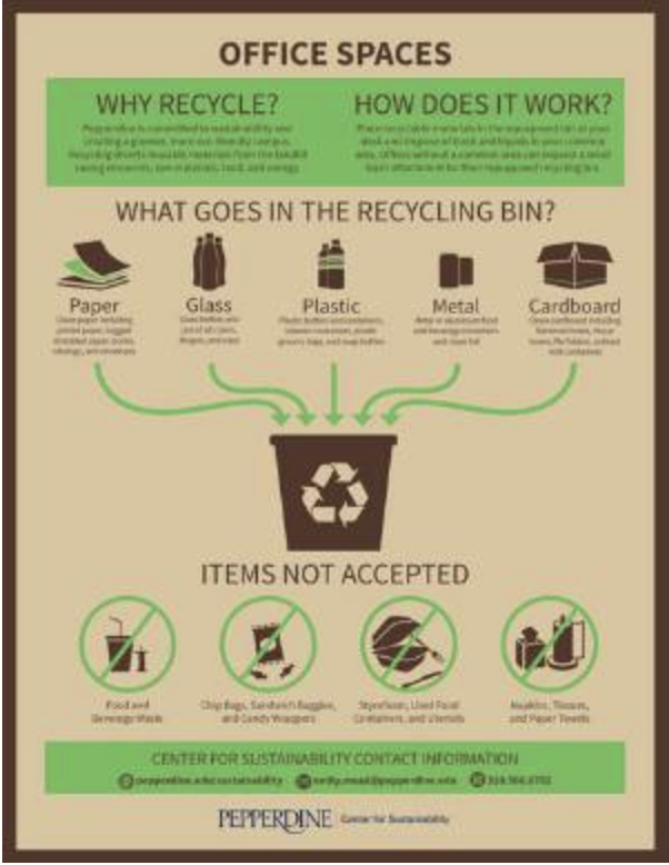 The Dirt on Waste: Understanding College Recycling Programs