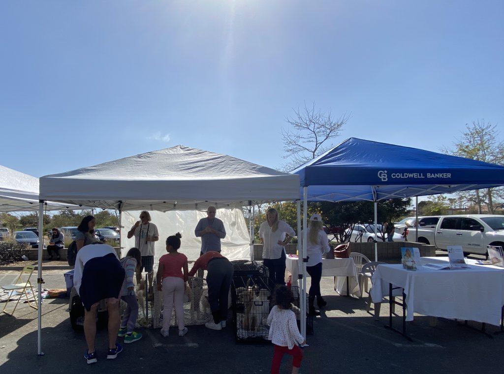 People gather outside of the 4PK Rescue and Coldwell Banker tents to view dogs up for adoption. Coldwell Banker bought both tent spaces so that 4PK Rescue could set up adoption sight.