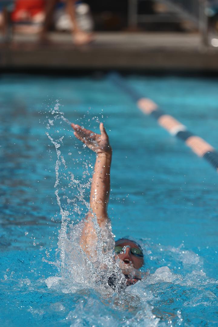 Sophomore swimmer and Graphic staff writer Emily Morton competes in the backstroke. Morton broke numerous school records during her first year in the pool. File photo