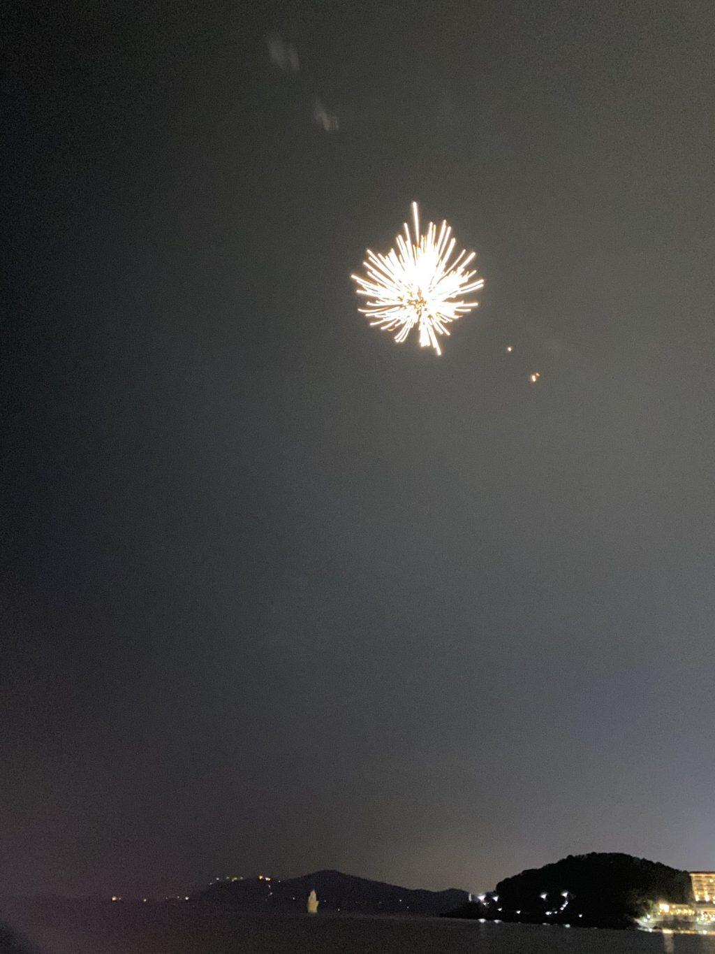 A firework lights up the night sky at Haeundae Beach on Oct. 3. Two firework sticks cost $5 USD, and each stick lit up around 30 small fireworks in the sky.
