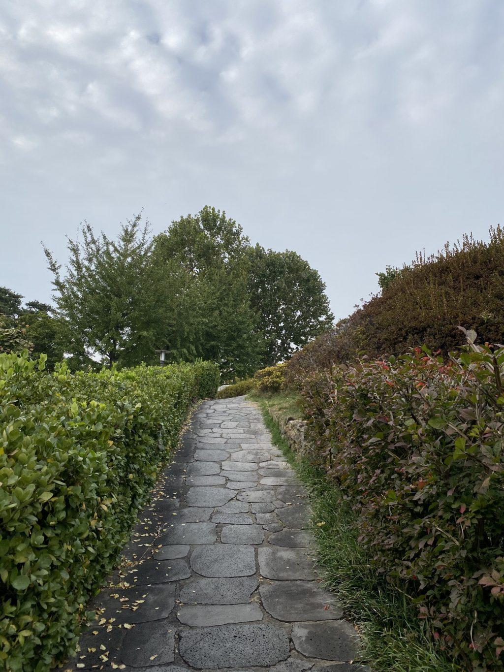 A road at Yanghwajin Foreign Missionary Cemetery leads to the grave of Christian missionaries on Oct. 21. My heart was moved by the boldness and faithfulness of the American missionaries who left an eternal impact on the Christian history of Korea. Photo by Claire Lee