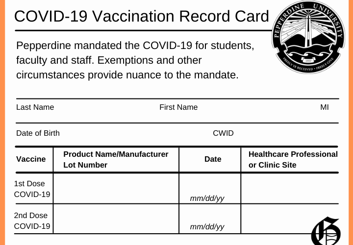 vaccine record v2
