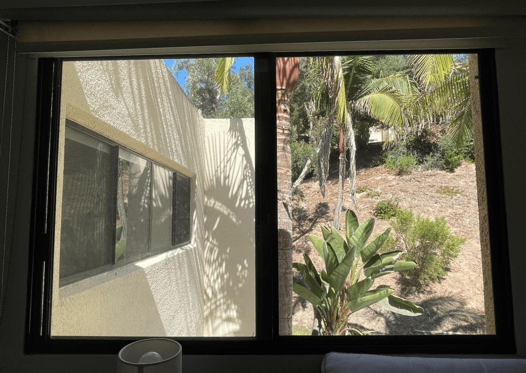 The view outside my room showcases a dirt hill and the trunk of a palm tree. This view is not one of the premier options on campus, but it does afford extra privacy. Photo by Addison Whiten