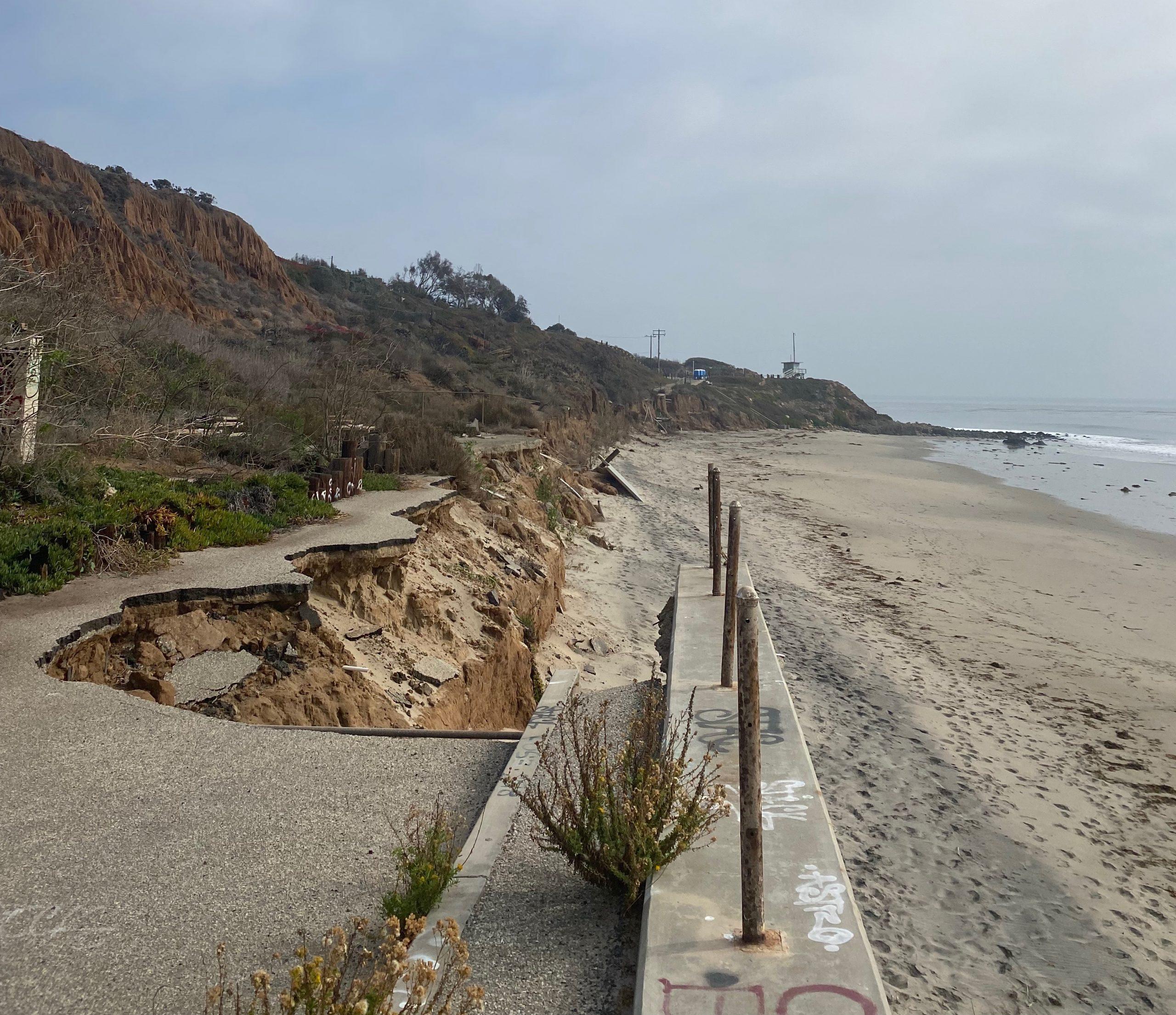 Zuma Beach Biodiversity – The Beach