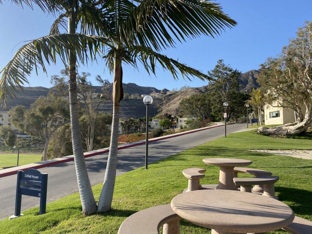 The sun shines on Lower Dorm Road in spring 2021. All first-year housing is assigned based on a student's sex — male or female. Photo by Ashley Mowreader