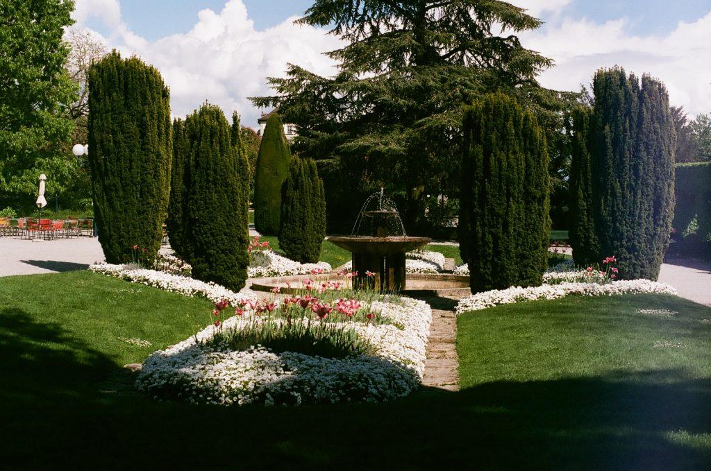 A view of Park Montbenon that overlooks the Swiss Alps as well as Lake Geneva May 9. This is one of the many hidden gardens that are tucked away between the streets.