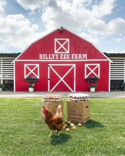 Billy's Egg Farm is the farm that Mouw grew up on. Mouw's father was a former golfer himself. Photo courtesy of William Mouw