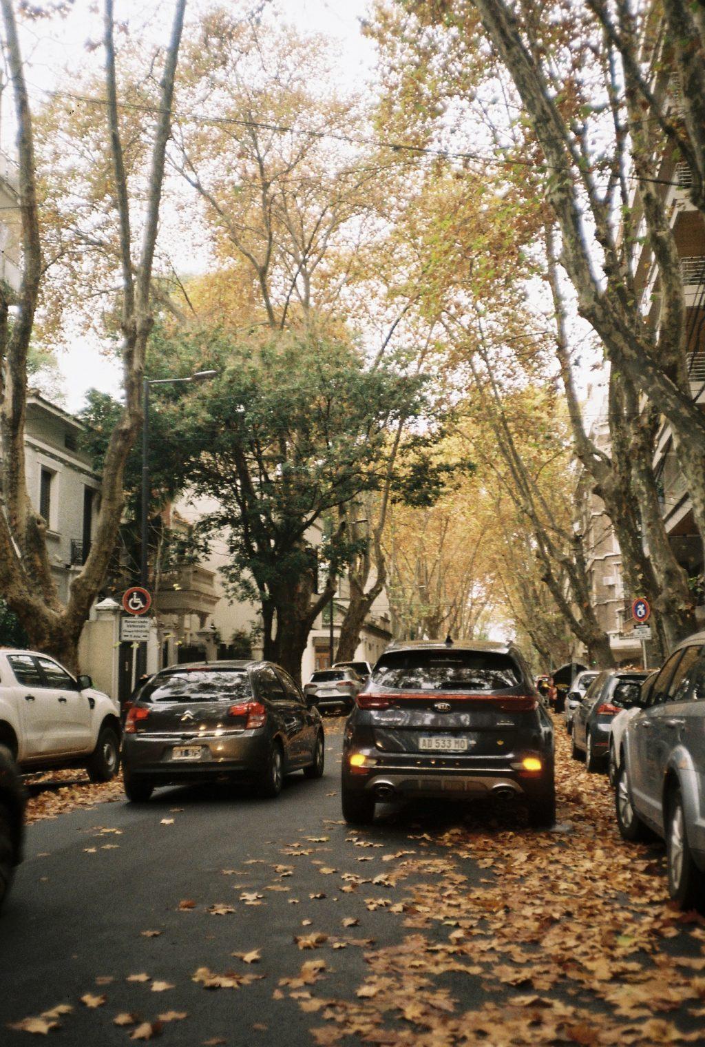 As autumn came to a close and winter came in, the auburn leaves of trees fell onto the streets. As someone from California, I barely experience fall, so this was everything to me.