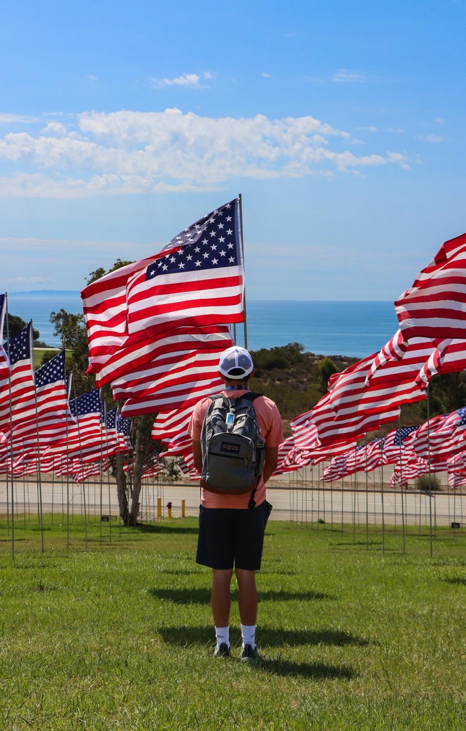 an attendee of the service takes a moment after the ceremony's conclusion to visit the flags.