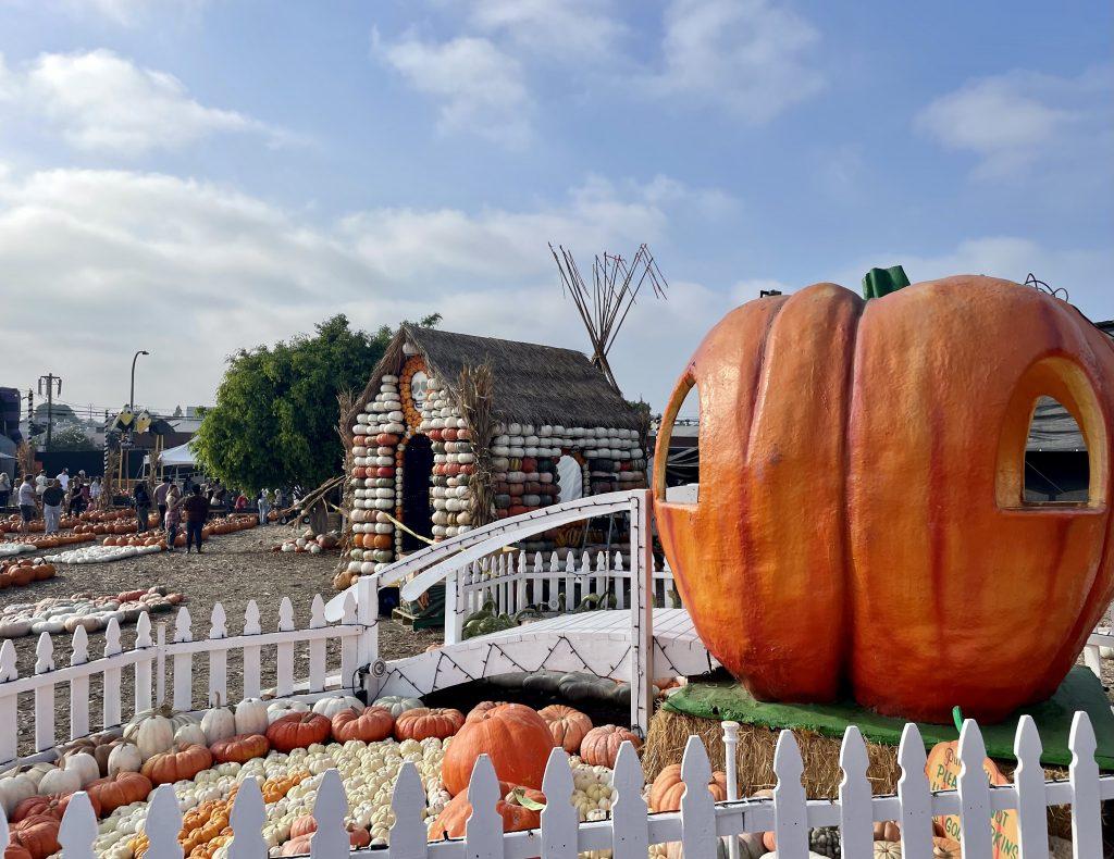Pumpkins and spooky decor create a vibrant display of fall colors and festivities at Mr. Bones Pumpkin Patch on Oct. 7. Guests received full access to all attractions with general admission tickets. Photo by Lauren Goldblum