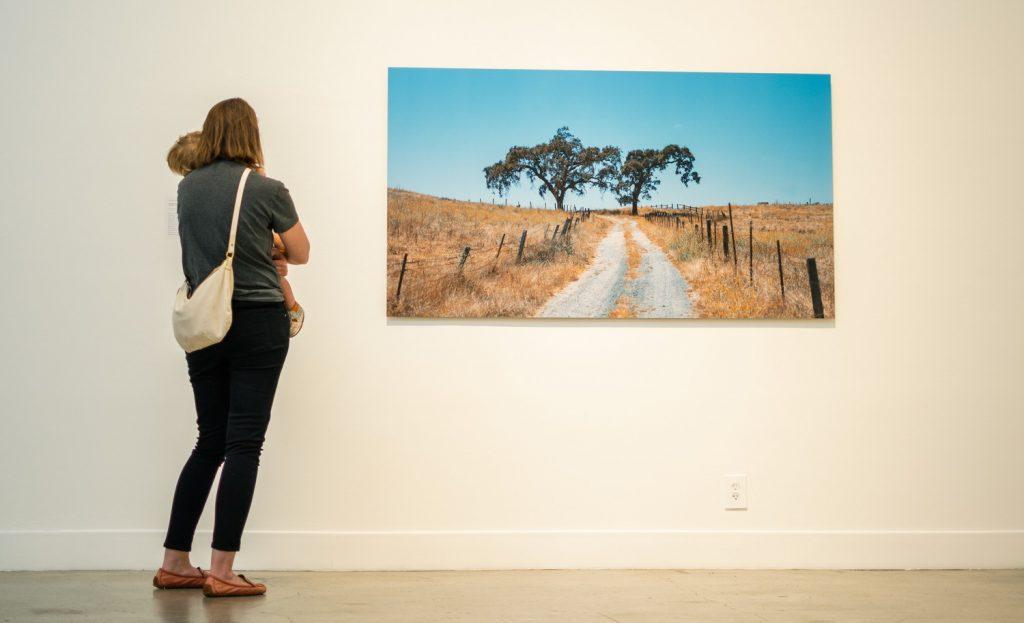 An event attendee stands and admires Ken Gonzales-Day&squot;s "Two Men Were Taken" photograph Sept. 10. The photo was taken in a California field and is displayed on the main floor of the art exhibit.