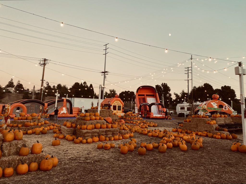 Hundreds of pumpkins are displayed atop hay bails and on the ground, with inflatable structures, lights and rides at Seasonal Adventures on Oct. 3. Seasonal Adventures has hosted pumpkin patches in Ventura County since 1994. Photo by Emma Ibarra