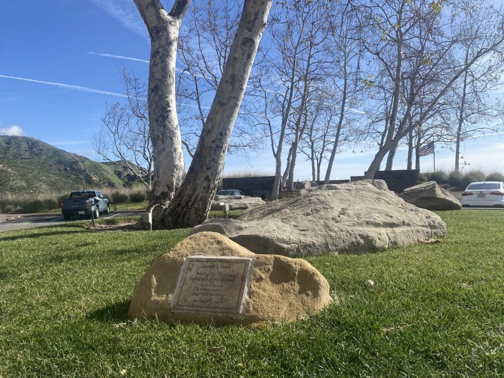 A plaque dedicated to Lawrence sits in front of "Larry&squot;s Tree" outside the Villa Graziadio in January. Wilburn said Lawrence asked for the tree to be dedicated to him when he retired. Photo by Samantha Torre