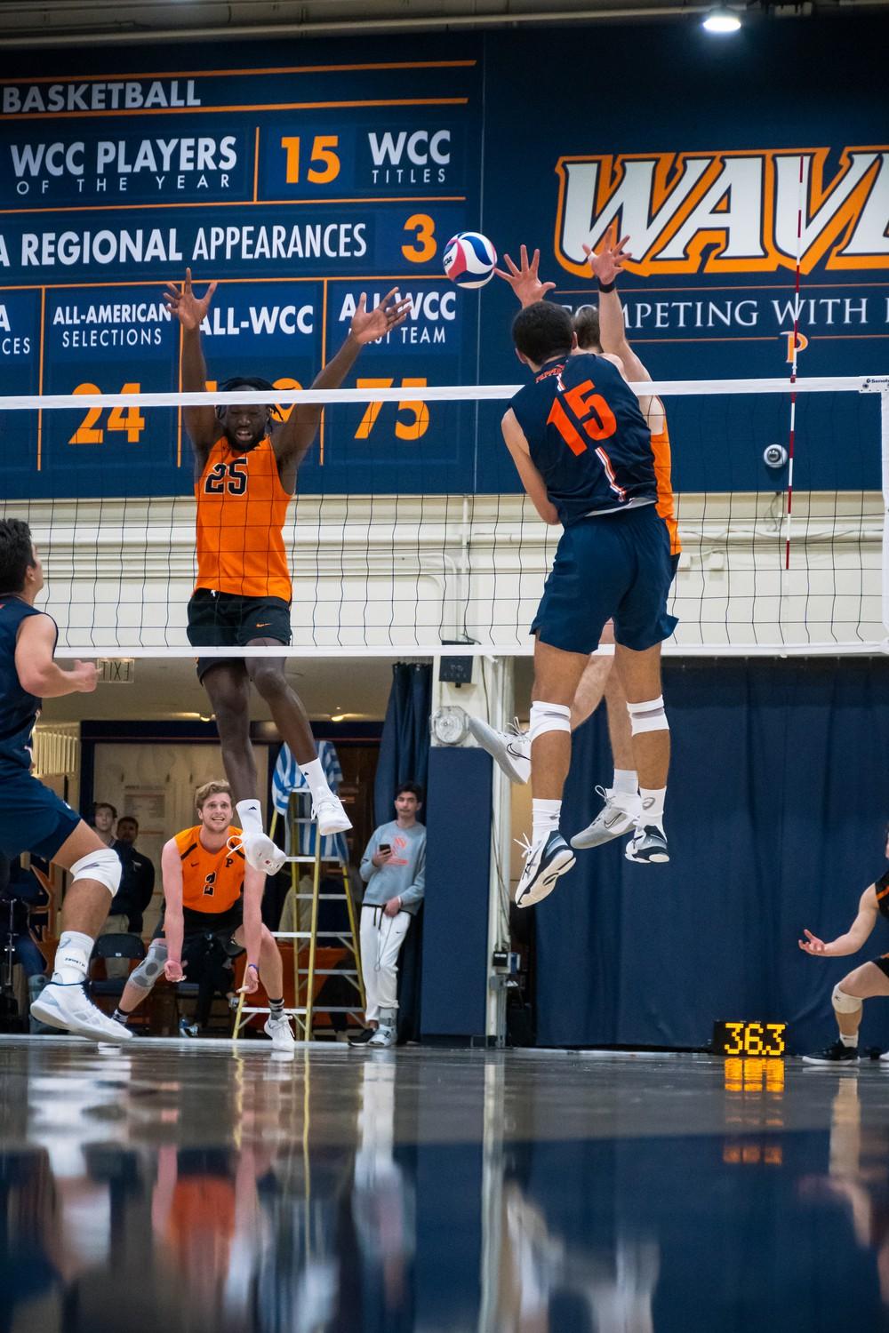Redshirt sophomore outside hitter Joe Deluzio rises for a kill versus Princeton on Jan. 16, at Firestone Fieldhouse. Deluzio was the Waves second leading scorer with eight kills.