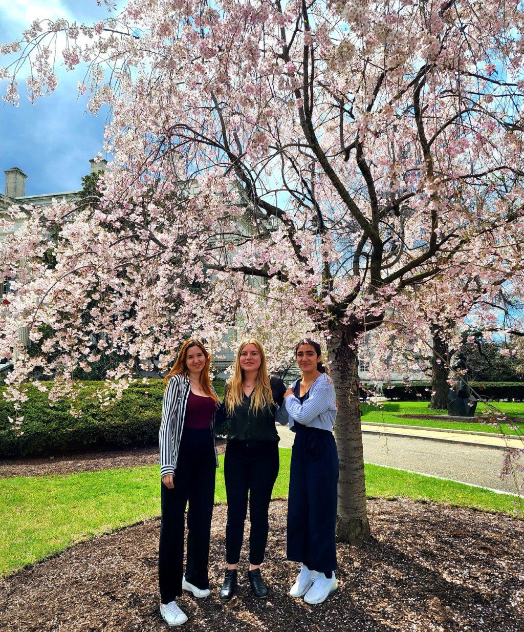 Pepperdine Waves Debate team members pose in front of the cherry blossom trees in Washington D.C., in April. The team participated in American policy debates judged by national and world leaders, Pisirici said. Photo courtesy of Courtney Wisniewski