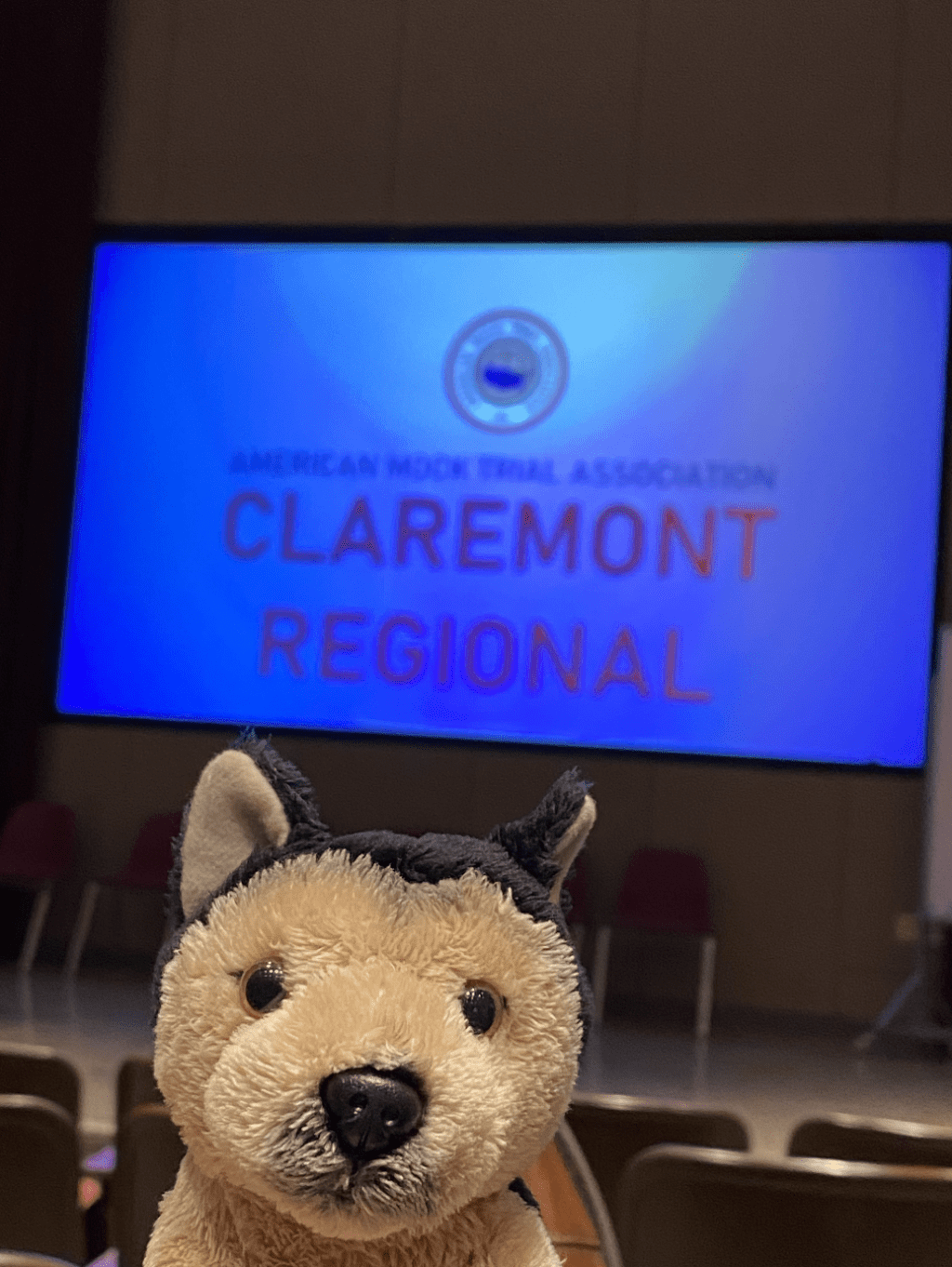 Pepperdine Mock Trial&squot;s "Lawyer Support Dog" takes the stand at the Claremont Regional on Feb. 5. Jones said "Lawyer Support Dog" joined the team at cases and outings and he is photographed in many of their Instagram photos. Photo courtesy of Zach Jones