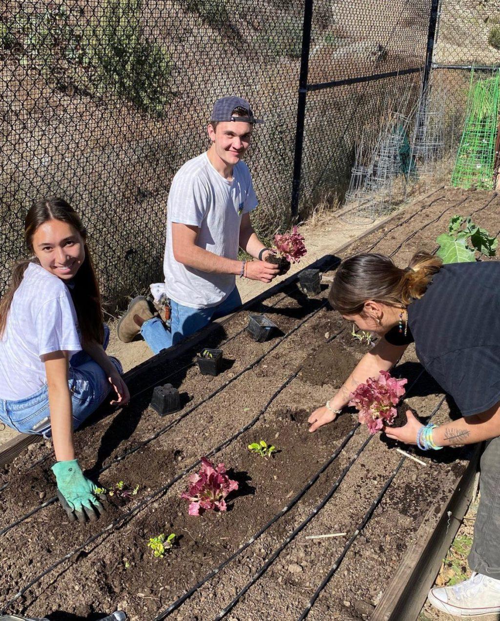 Senior Shea Tomlin and other students smile while planting carrots during the fall planting event at the community garden next to the Intramural Field on Nov. 4. Planting events allow crops to bloom before the next season arrives, according to the community garden's Instagram page. Photo courtesy of Mallory Finley