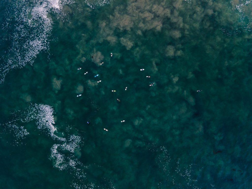 Birds eye view of the ocean in Point Dume.