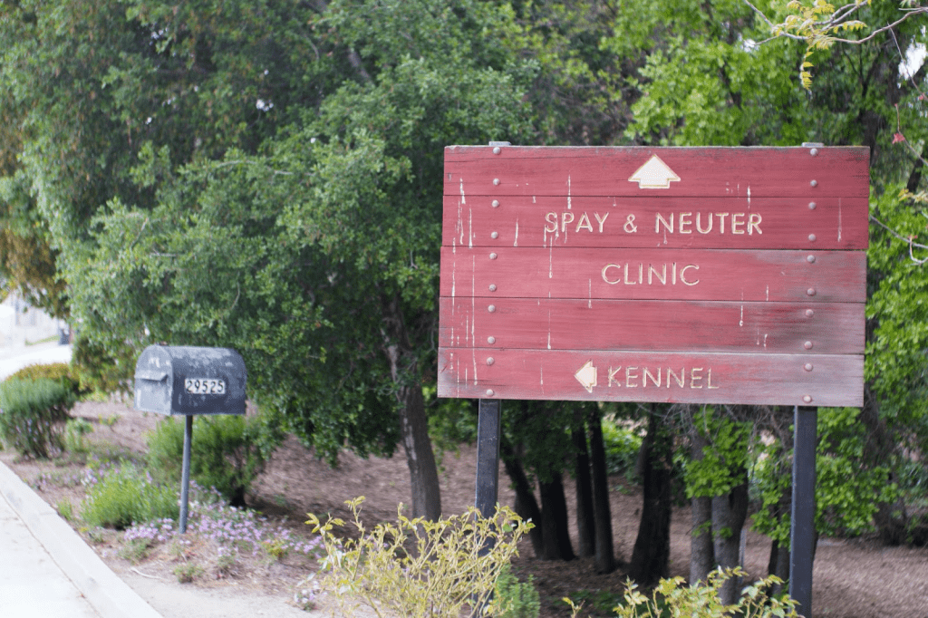 Agoura Animal Care Center participates in the county-wide spay & neuter voucher program that covers dogs up to $100 and cats up to $50 for applicants interested in discounted services, according to the L.A. County Animal Care website. With economic inflation, low-cost/free spay & neuter services have played a crucial part in solving the animal overcrowding situation, Frank Corvino, deputy director at the L.A. County Department of Animal Care said.