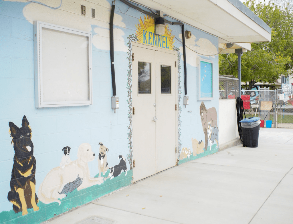 The front of Agoura Animal Care Center’s kennel displays a mural of various dogs and cats on April 17. Similar to other shelters around the county, the employees and volunteers at the Agoura shelter are dedicated to providing the care needed for their animals and having them adopted as soon as they can, Corvino said.