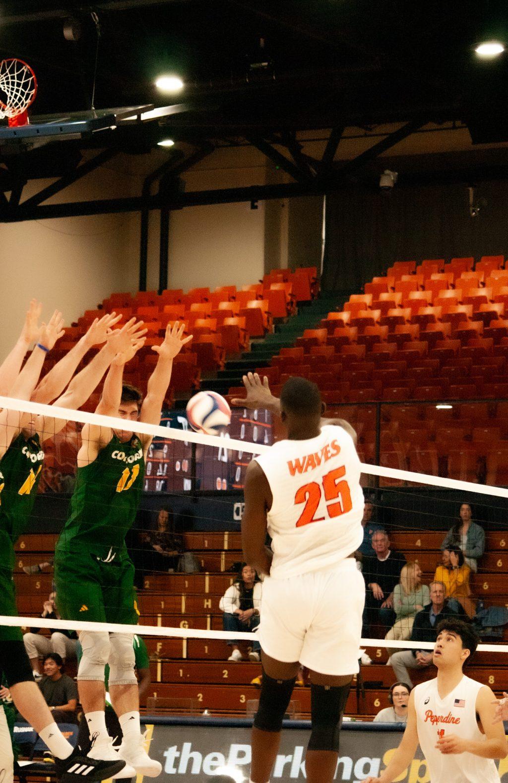 Graduate middle blocker Akin Akinwumi gets a kill against Concordia on March 16, at Firestone Fieldhouse. Akinwumi had 14 kills in the game, adding to his season total of 117.