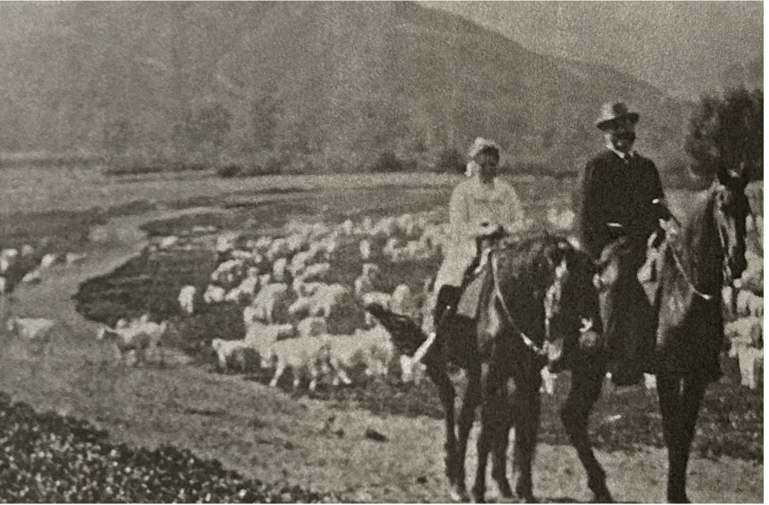 Frederick Rindge and his daughter, Rhoda, ride on horseback through their Malibu ranch. The Rindges’ ranch consisted of the entirety of Malibu’s current city limits and was home to a plethora of sheep pictured in the background. Photo courtesy of David K. Randall