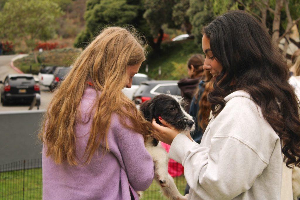 Two Seaver students smile as they hold their new canine friend at Puppy Yoga on Nov. 2. The event was in partnership with Housing Residence Life (HRL) and Pups Without Borders. Photos courtesy of Hailey Emmons