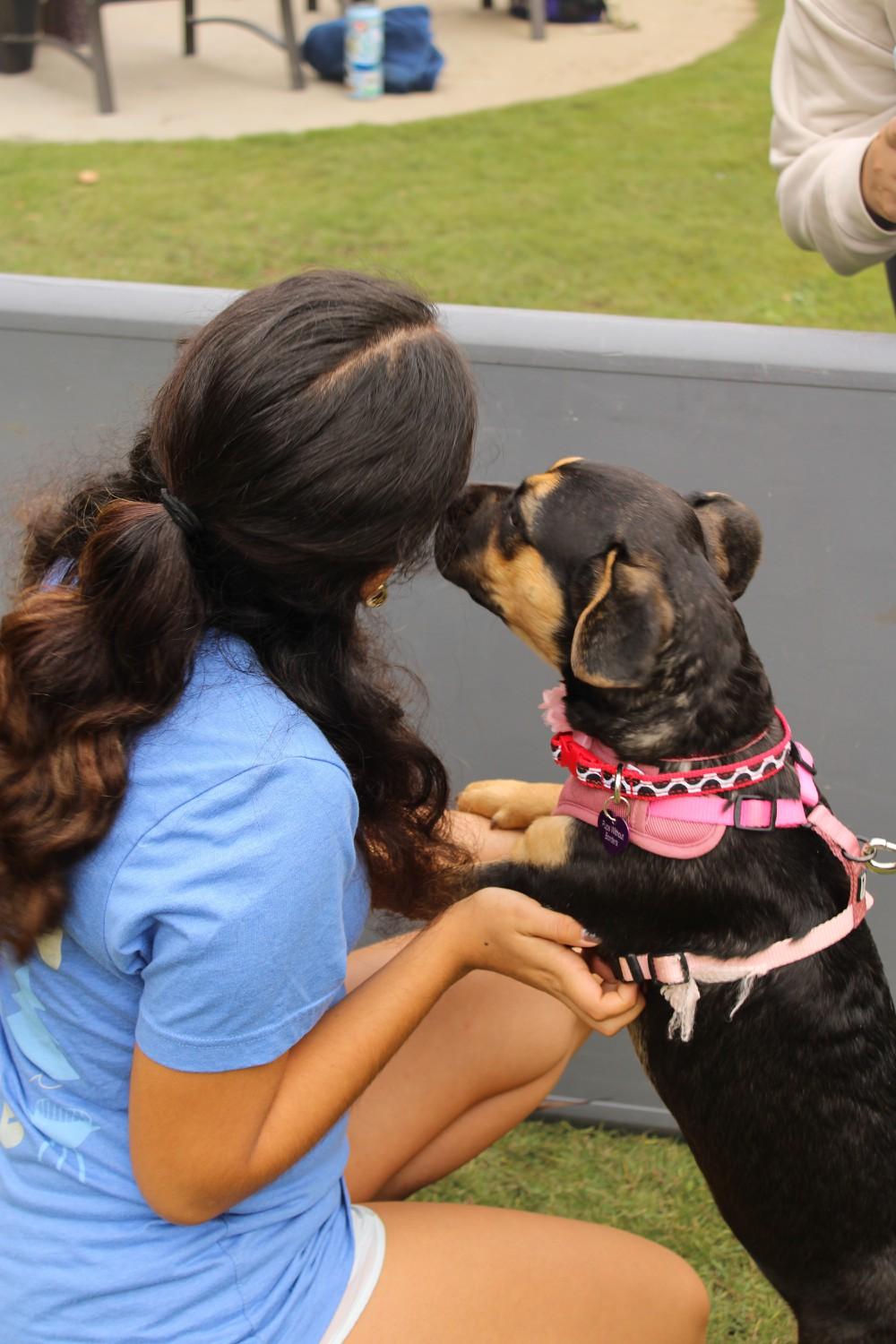 Attendee enjoys affection from one puppy at Puppy Yoga on Nov. 2. The event was held by the Student Programming Board, Pepperdine's student event committee.