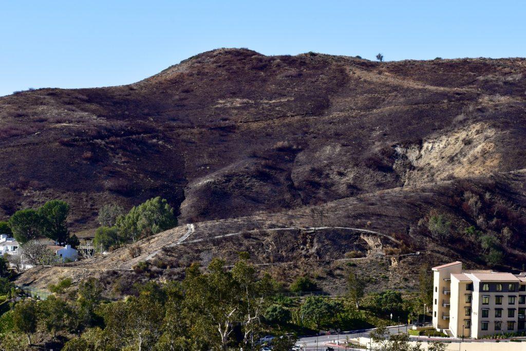 Scorched hillsides are a backdrop to Pepperdine's campus and Malibu Country Estates on Jan. 15. The Franklin Fire burned the hillsides surrounding campus in December. Photo by Mary Elisabeth