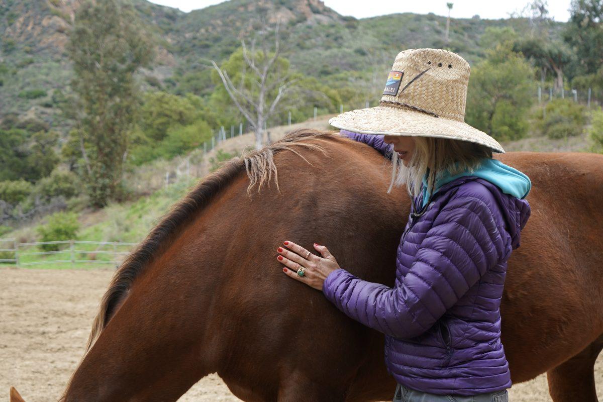 How Horses Help Humans Heal The Transformative Power Of Equine Therapy