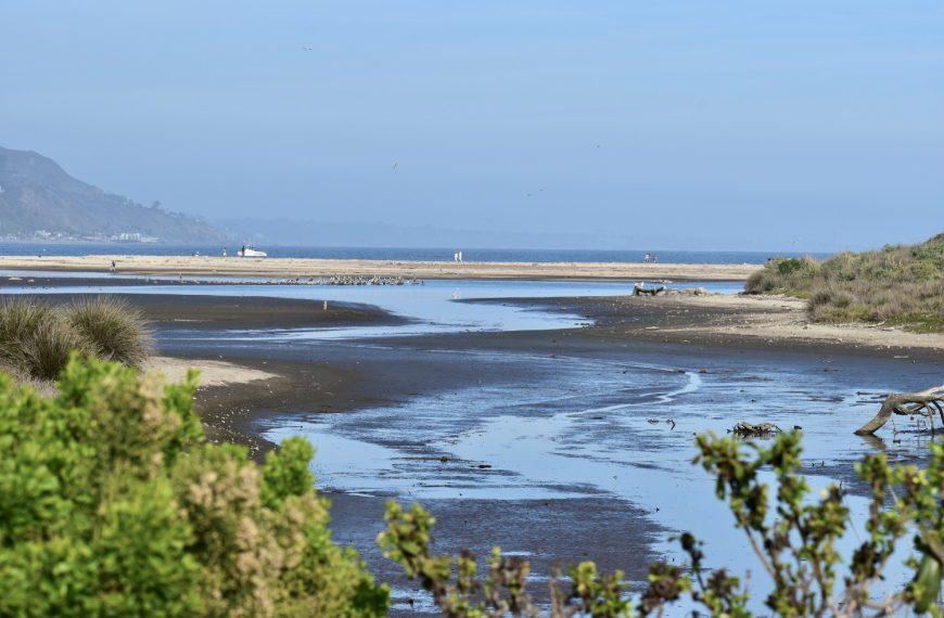 The Malibu Lagoon: Where Ecology Meets the Ocean’s Edge