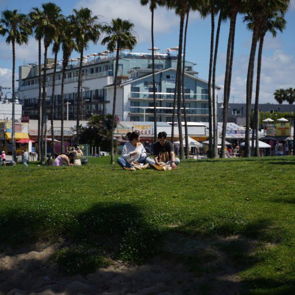 The Connections Shared Around the Table