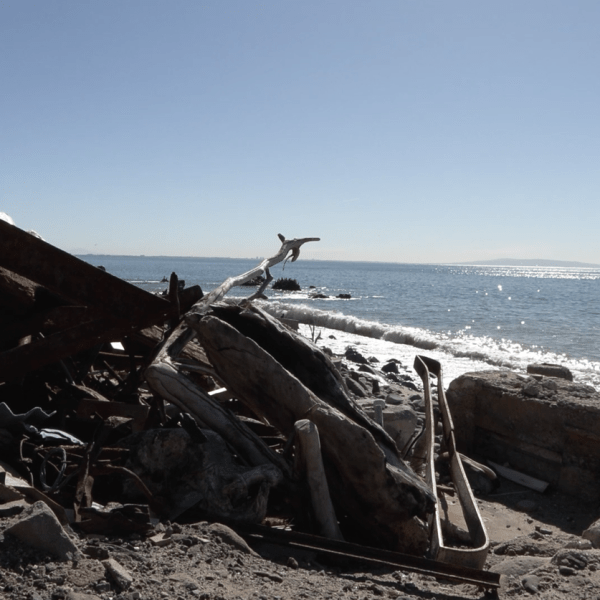 From Fire to Tide: Malibu’s Wildfires Leave a Wake That Won’t Wash Away