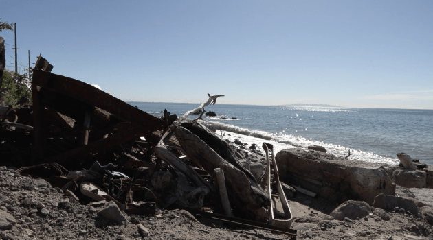 From Fire to Tide: Malibu’s Wildfires Leave a Wake That Won’t Wash Away