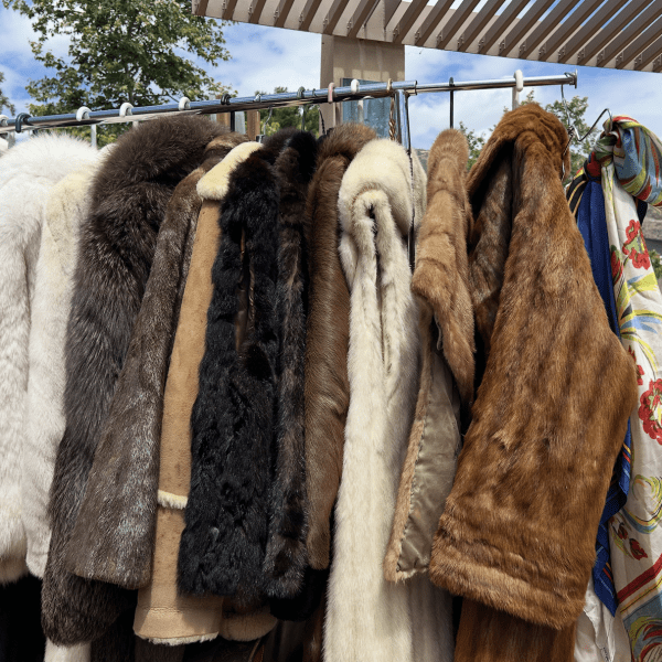 Threads of Identity: The Beauty Behind the Aesthetic