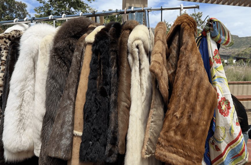 Threads of Identity: The Beauty Behind the Aesthetic