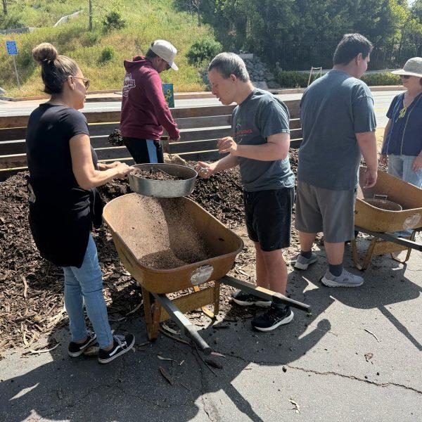 Local Volunteers Promote Sustainability and Disability Inclusion Through Shemesh Farms