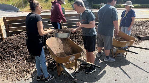 Local Volunteers Promote Sustainability and Disability Inclusion Through Shemesh Farms