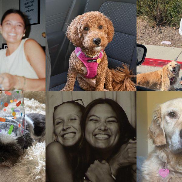 Good News: Community Found in House Hopping