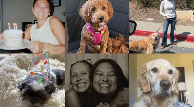 Good News: Community Found in House Hopping