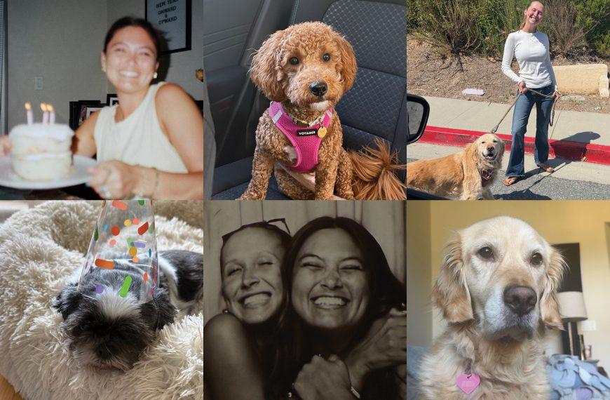 Good News: Community Found in House Hopping