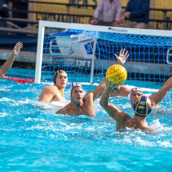 No. 16 Men’s Water Polo Unable to Tame No. 4 Berkeley Golden Bears
