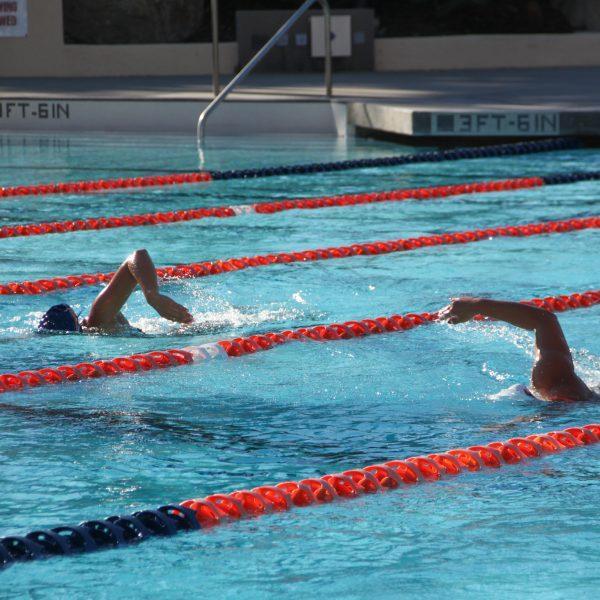 Swim & Dive Prepare to Make a Splash into 2026-27 Season